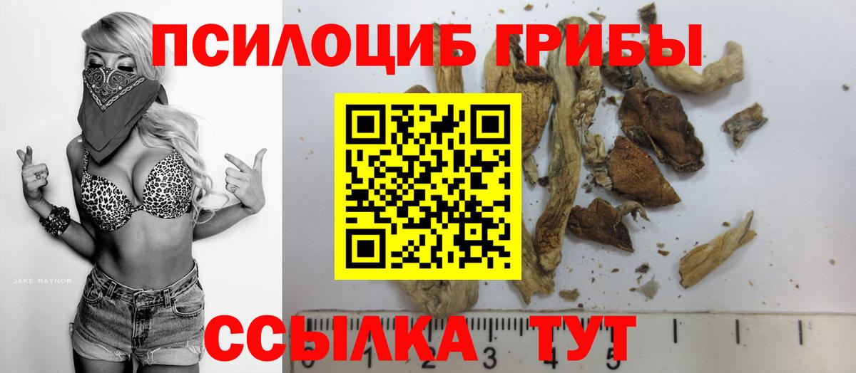 Галлюциногенные грибы MAGIC MUSHROOMS  Вход с VPN  Галлюциногенные грибы GOLDEN TEACHER  продажа наркотиков  Шали 
